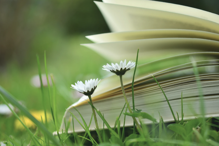 Storie piccole... fioriscono in biblioteca - maggio '23